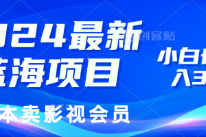 2024最新蓝海项目，0成本卖影视会员，小白也能日入3位数