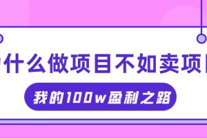 ，我通过卖项目轻松赚取100W+