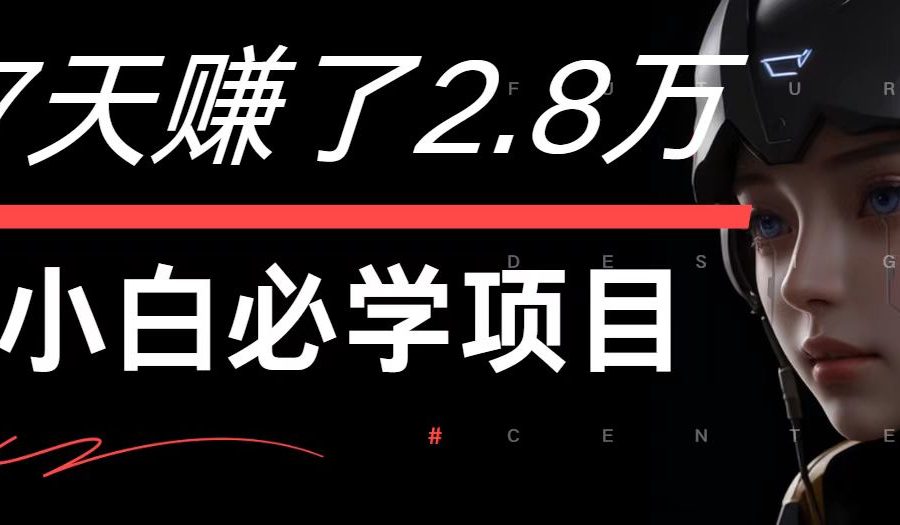 7天赚了2.8万！每单利润最少500+，轻松月入7万+小白有手就行