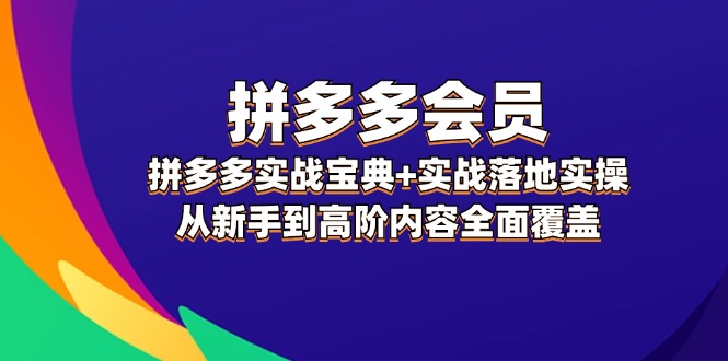 （12056期）拼多多 会员，拼多多实战宝典+实战落地实操，从新手到高阶内容全面覆盖