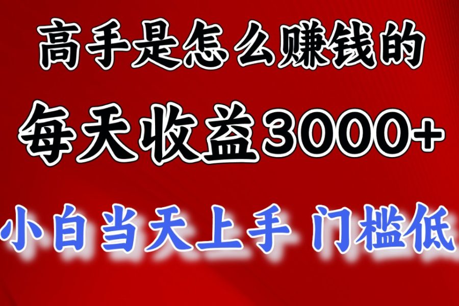 （12144期）1天收益3000+，月收益10万以上，24年8月份爆火项目