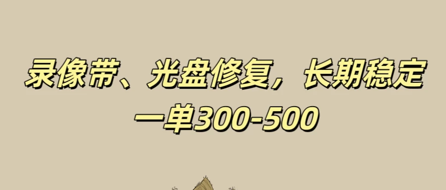 录像带、光盘修复项目，非常稳定适合长期做，一单300-500+