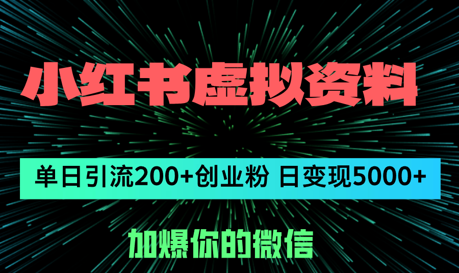 （12164期）小红书虚拟资料日引流200+创业粉，单日变现5000+