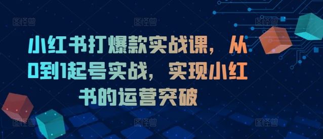 小红书打爆款实战课，从0到1起号实战，实现小红书的运营突破