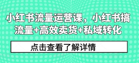 小红书流量运营课，小红书搞流量+高效卖货+私域转化