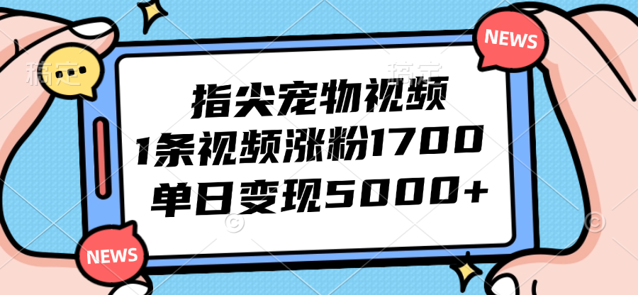 （12549期）指尖宠物视频，1条视频涨粉1700，单日变现5000+