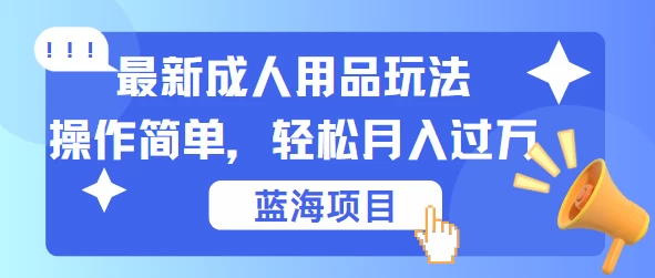 最新成人用品项目玩法，操作简单，蓝海项目轻松月入过万