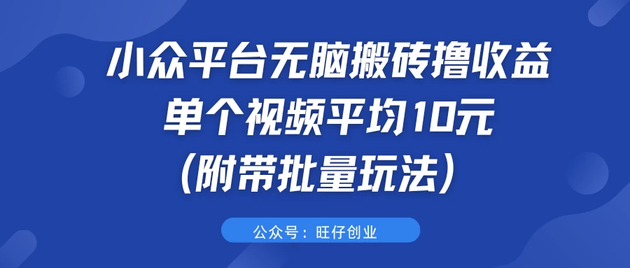 小众平台无脑搬砖撸收益，单个视频平均10元 (附带批量玩法）