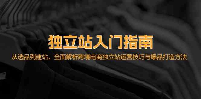 独立站入门指南：从选品到建站，全面解析跨境电商独立站运营技巧与爆品打造方法