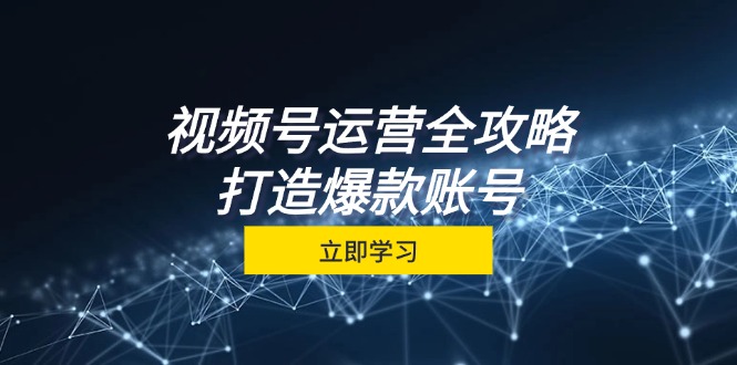 （12912期）视频号运营全攻略，从定位到成交一站式学习，视频号核心秘诀，打造爆款…