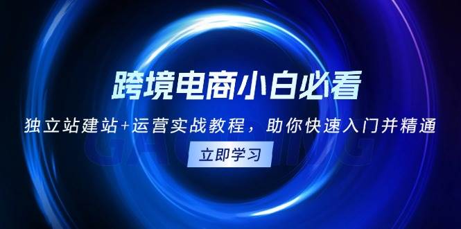 （13502期）跨境电商小白必看！独立站建站+运营实战教程，助你快速入门并精通