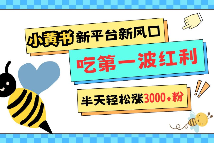 小黄书重磅来袭，新平台新风口，管理宽松，半天轻松涨3000粉，第一波红利等你来吃