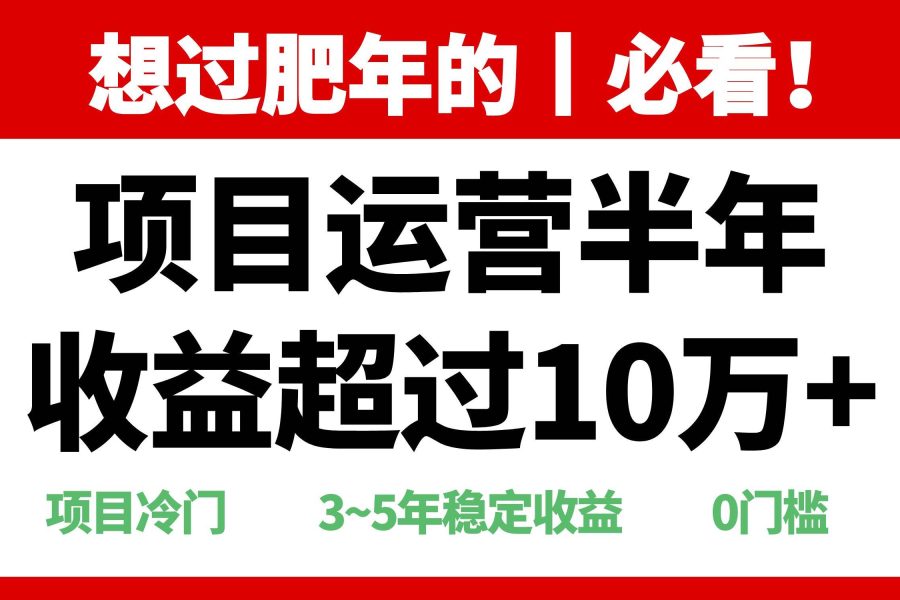 （13663期）年前过肥年的必看的超冷门项目，半年收益超过10万+，