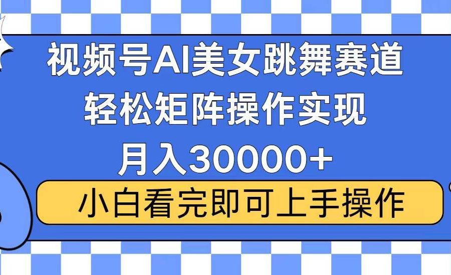 （13813期）视频号蓝海赛道玩法，当天起号，拉爆流量收益，小白也能轻松月入30000+