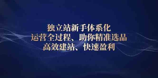 独立站新手体系化 运营全过程，助你精准选品、高效建站、快速盈利